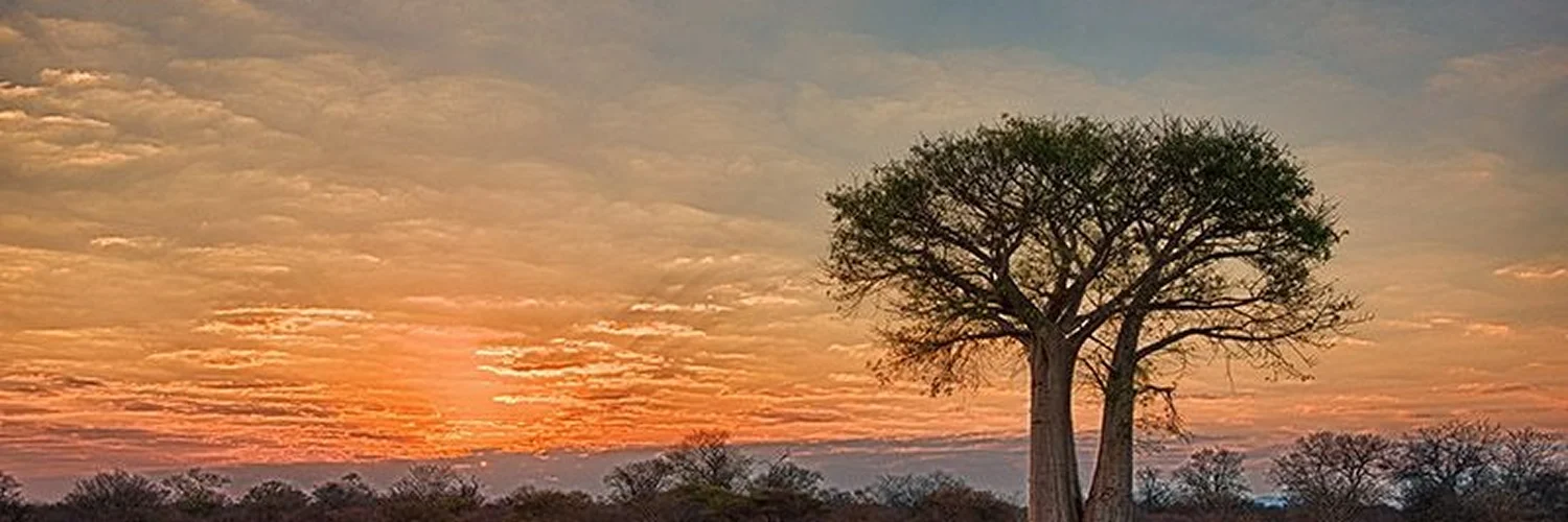 WhatsApp Image 2026-01-22 at 17.16.01 1 (1).webp